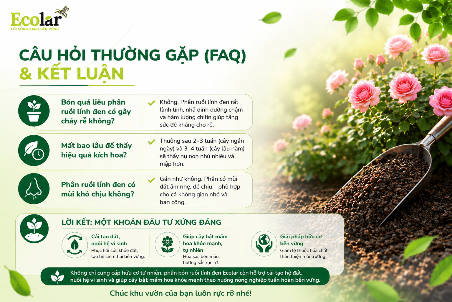Câu Hỏi Thường Gặp (FAQ) & Kết Luận