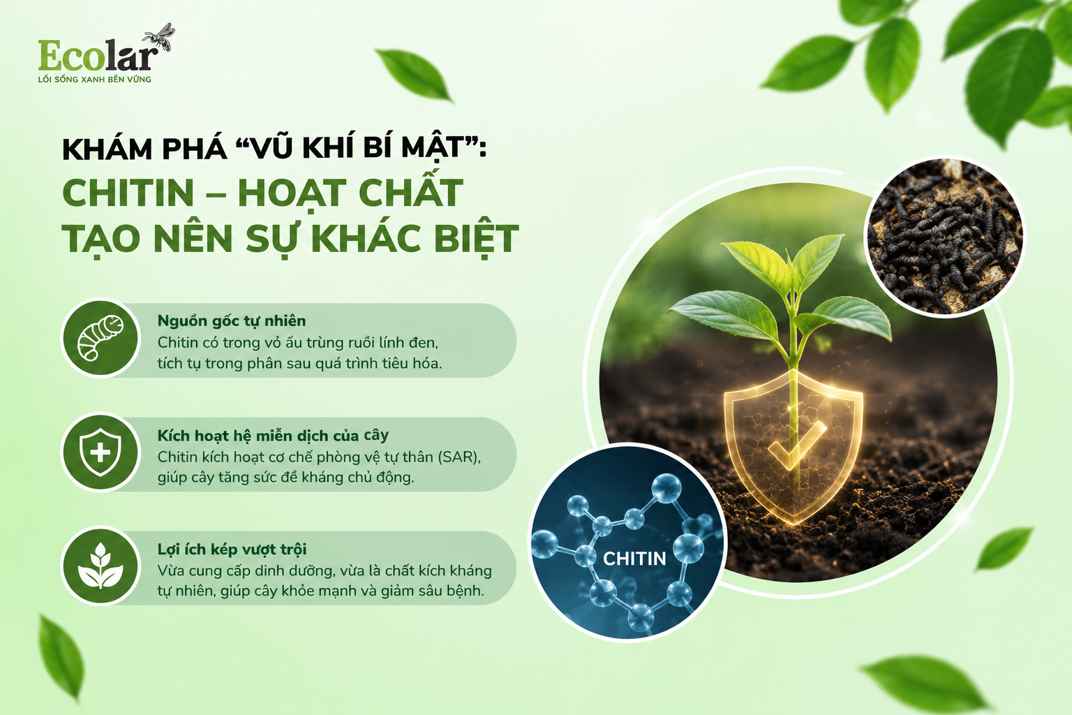 Khám Phá 'Vũ Khí Bí Mật': Chitin - Hoạt Chất Tạo Nên Sự Khác Biệt
