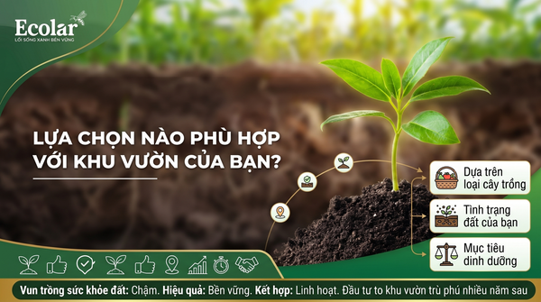 Kết Luận: Lựa Chọn Nào Phù Hợp Với Khu Vườn Của Bạn?