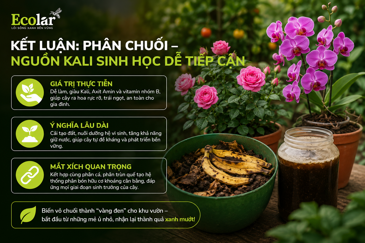 Kết luận: Phân chuối – nguồn Kali sinh học dễ tiếp cận
