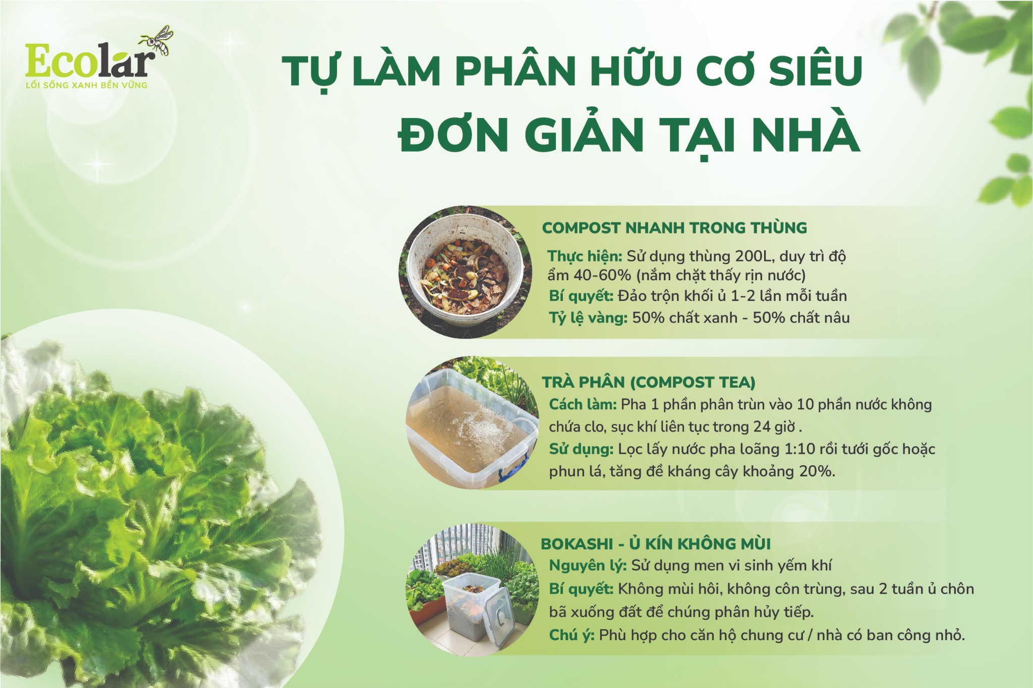 TU - LAM - PHAN - HUU - CO - SIEU - DON - GIAN - TAI - NHA-02