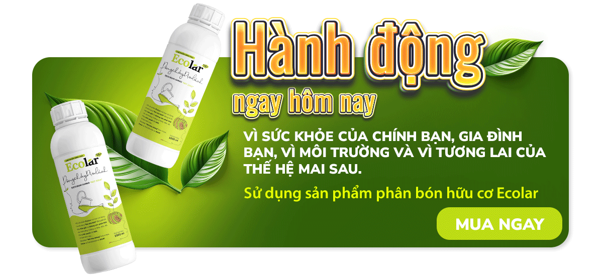 Phân bón hữu cơ Ecolar Dòng chảy dịu lành