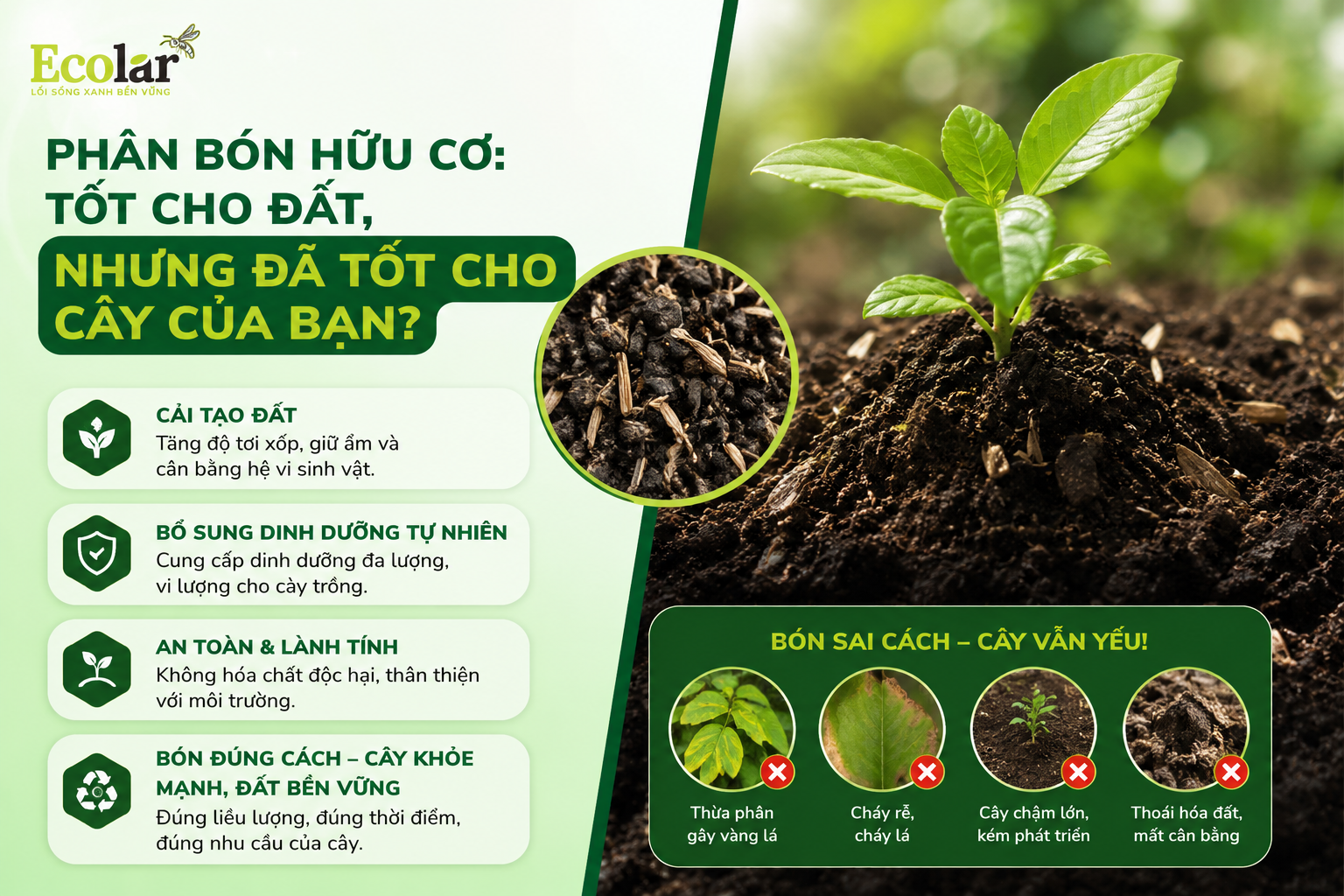 Phân Bón Hữu Cơ: Tốt Cho Đất, Nhưng Liệu Đã Tốt Cho Cây Của Bạn?