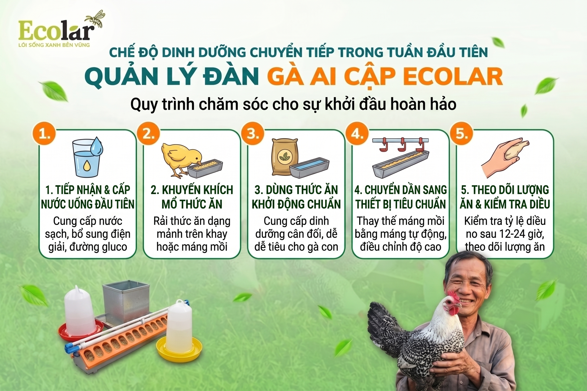 Chế độ dinh dưỡng chuyển tiếp trong tuần đầu tiên