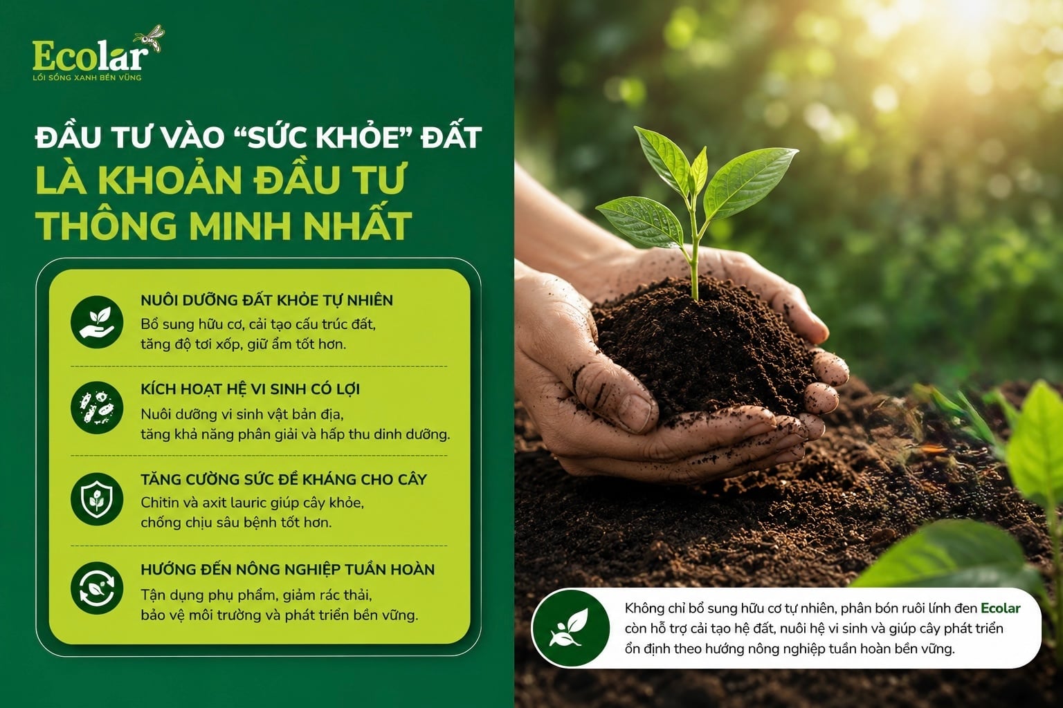 Kết Luận: Đầu Tư Vào 'Sức Khỏe' Đất Là Khoản Đầu Tư Thông Minh Nhất