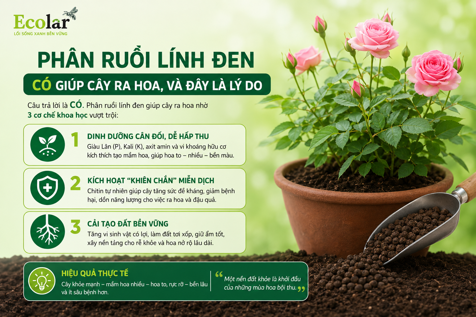Trả Lời Thẳng: Phân Ruồi Lính Đen CÓ Giúp Cây Ra Hoa, Và Đây Là Lý Do