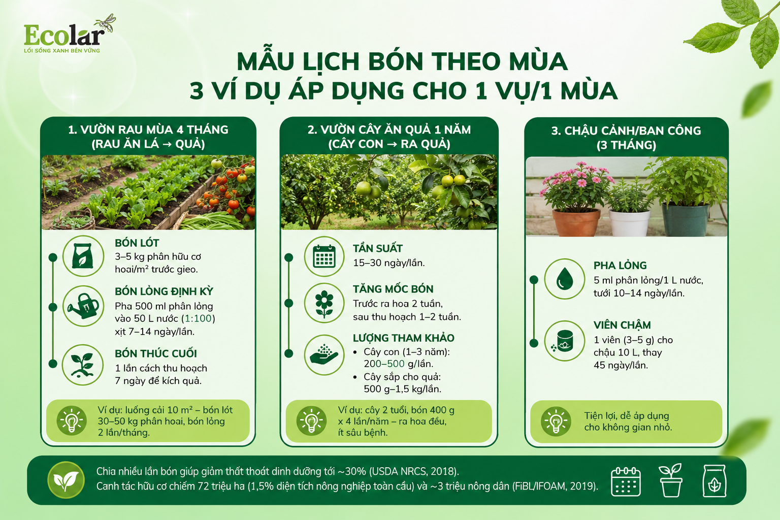 Mẫu lịch bón theo mùa: 3 ví dụ áp dụng cho 1 vụ/1 mùa