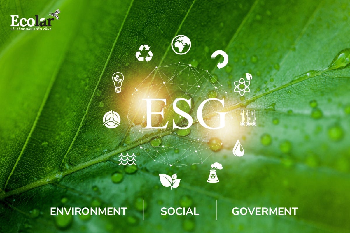 ESG Là Gì?