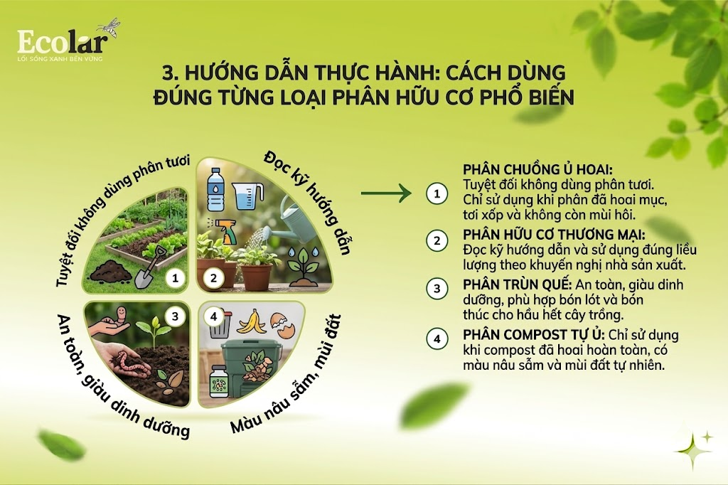 Hướng Dẫn Thực Hành: Cách Dùng Đúng Từng Loại Phân Hữu Cơ Phổ Biến