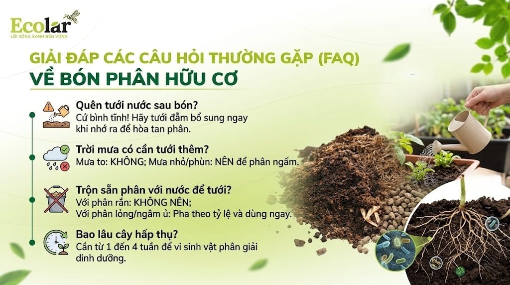 Giải Đáp Các Câu Hỏi Thường Gặp (FAQ)