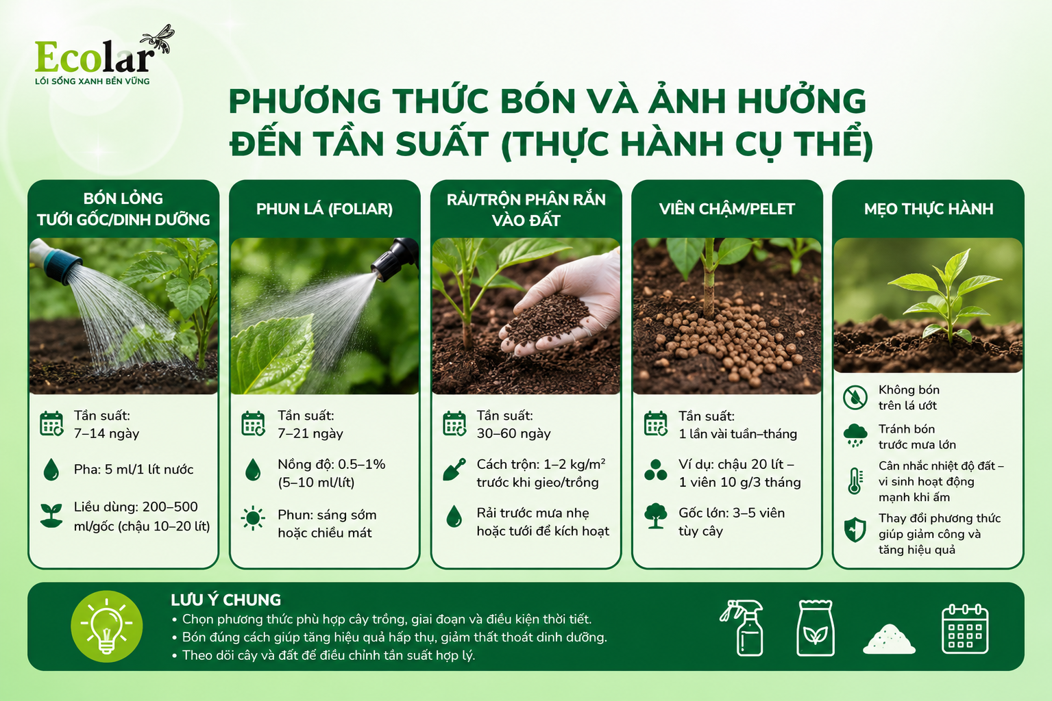 Phương thức bón và ảnh hưởng đến tần suất (thực hành cụ thể)