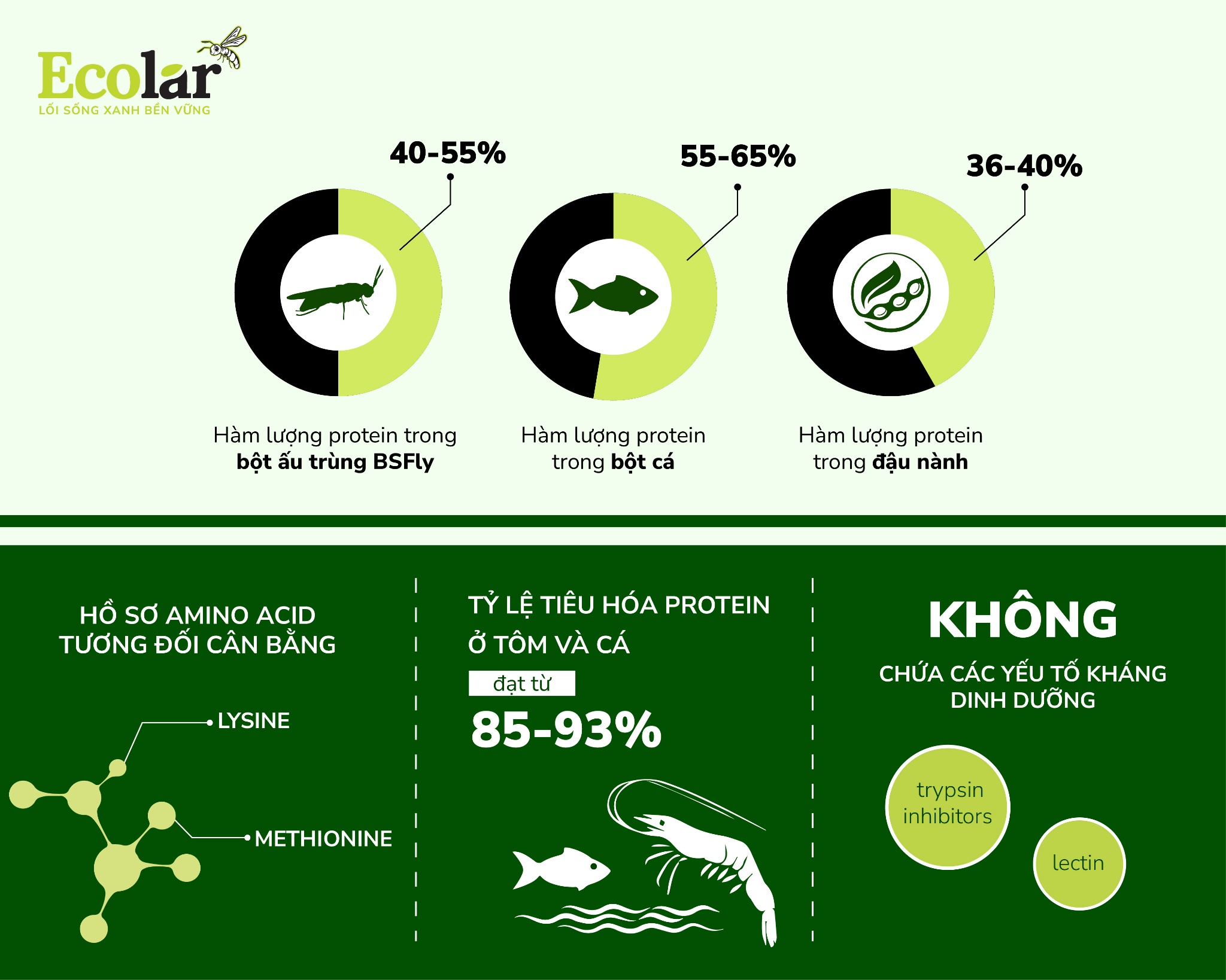 ham-luong-protein-cao-va-chat-luong-dam-vuot-troi