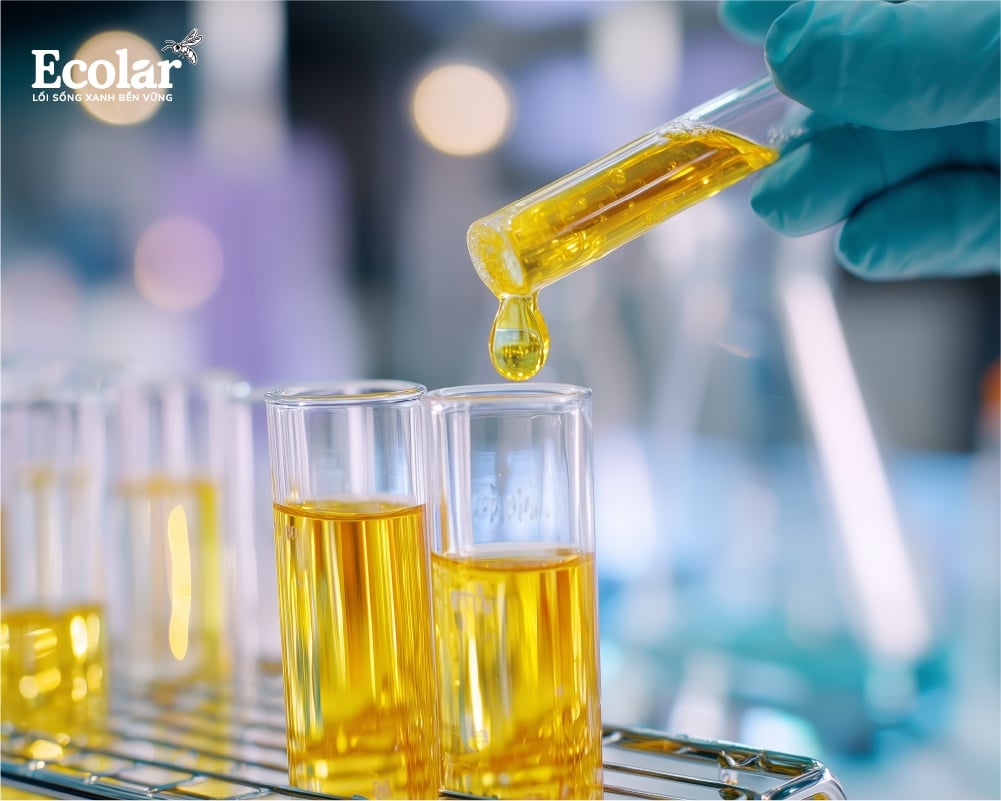 Hàm lượng lipid/dầu sinh học cao