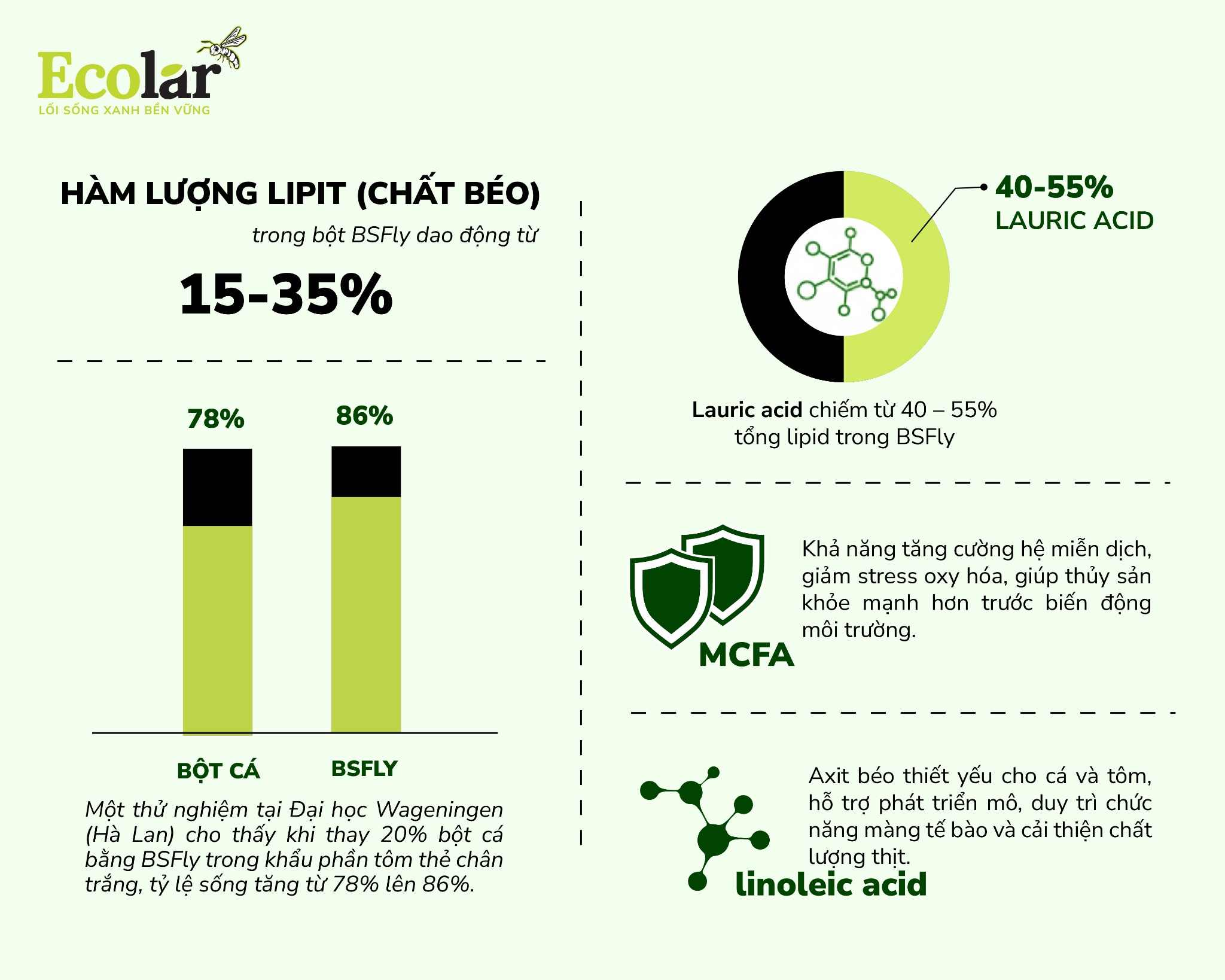 thay-the-ty-le-bot-ca-o-ty-le-an-toan