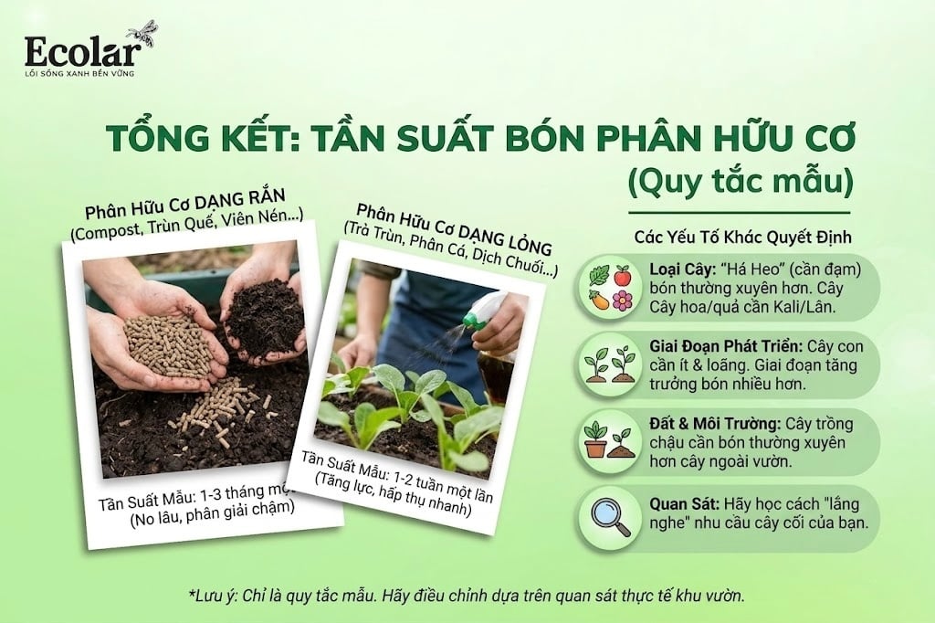 Câu Trả Lời Nhanh: Bón Phân Hữu Cơ Bao Lâu Một Lần?