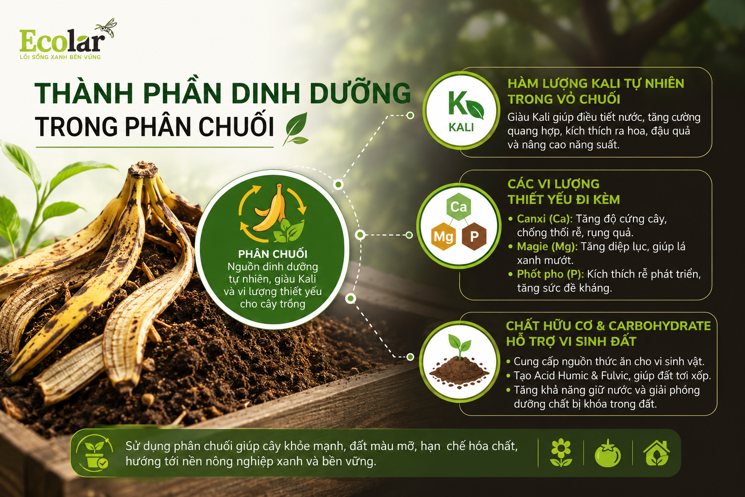 Thành phần dinh dưỡng trong phân chuối