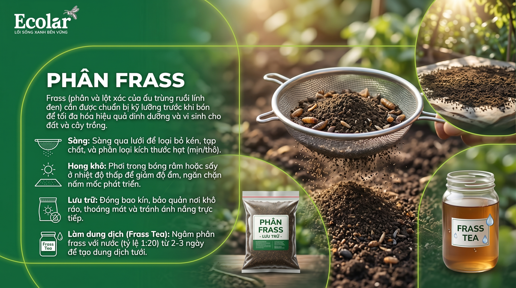 Chuẩn bị frass trước khi bón: sàng, hong khô, lưu trữ và làm dung dịch (frass tea)