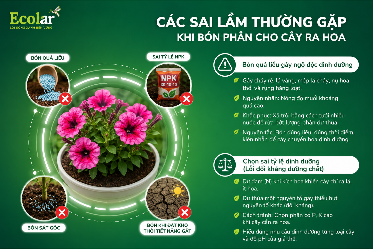 Các sai lầm thường gặp khi bón phân cho cây ra hoa