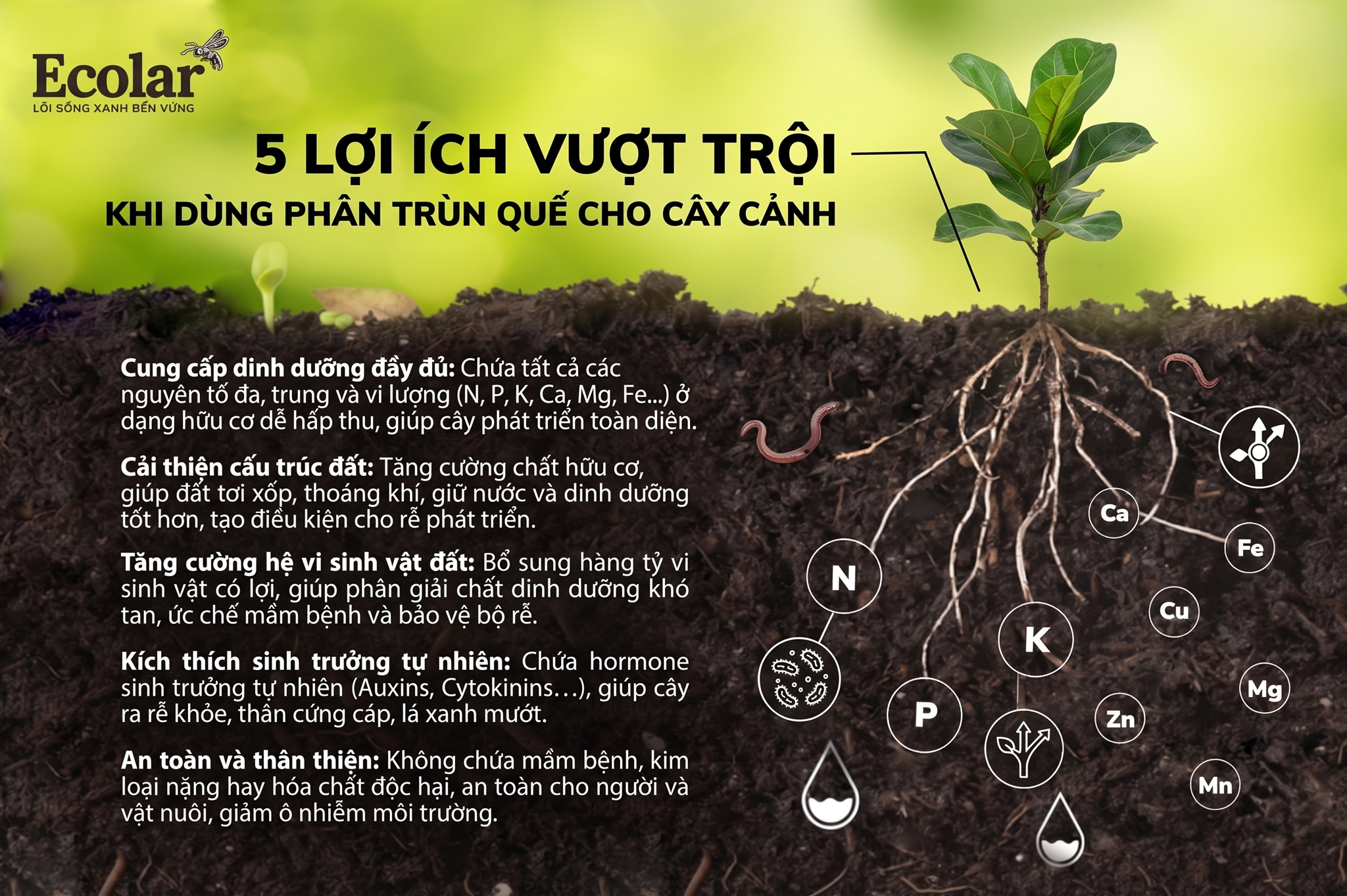 5 Lợi Ích Vượt Trội Khi Dùng Phân Trùn Quế Cho Cây Cảnh