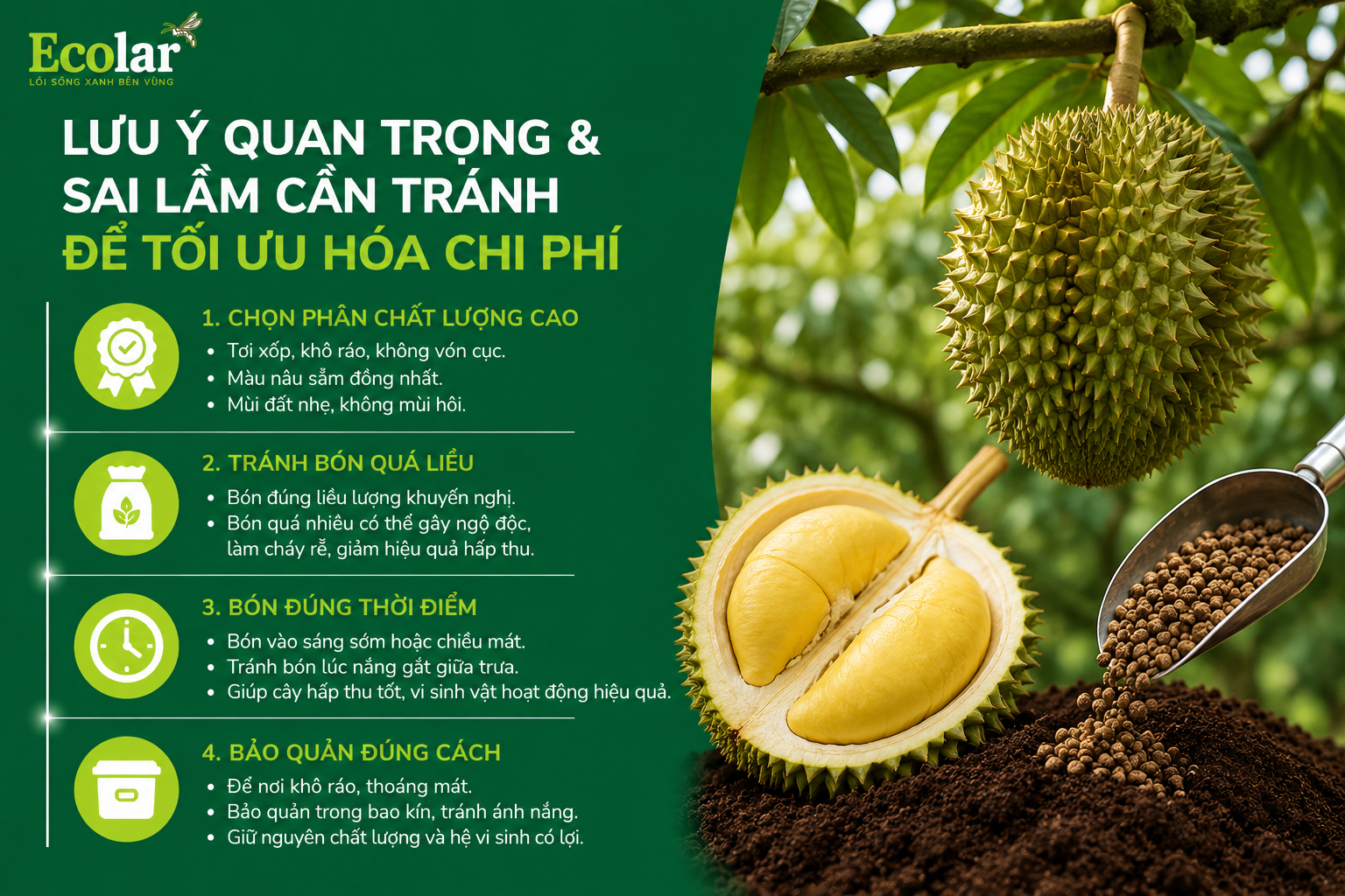 Lưu Ý Quan Trọng & Sai Lầm Cần Tránh Để Tối Ưu Hóa Chi Phí
