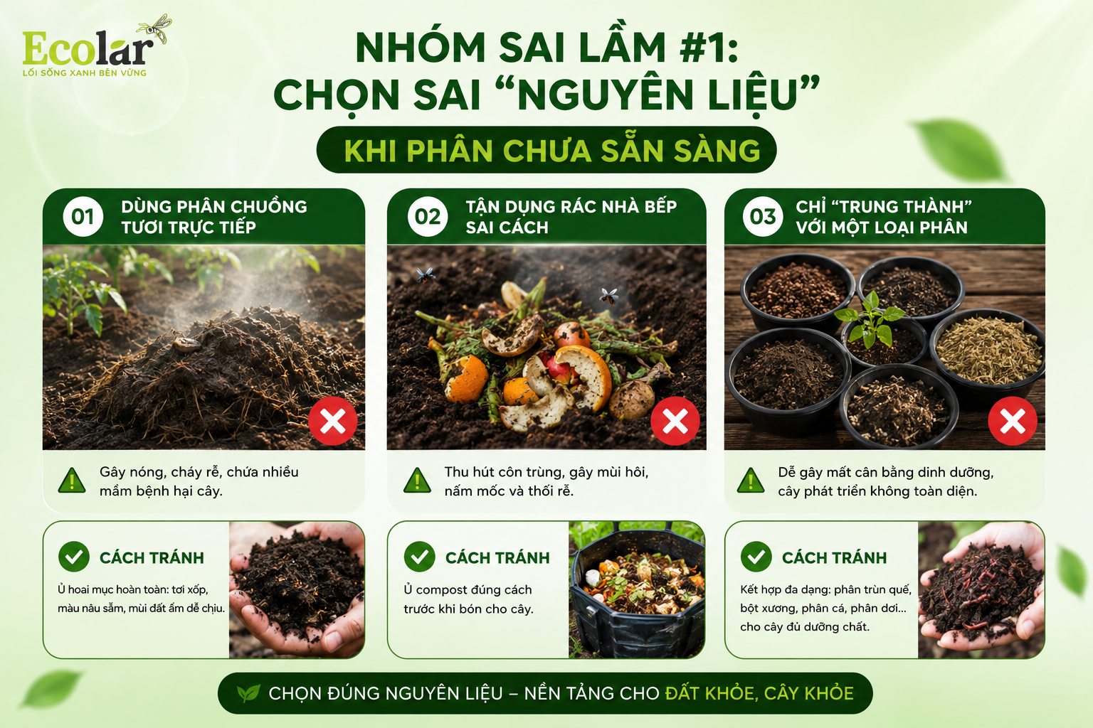 Nhóm Sai Lầm #1: Chọn Sai 'Nguyên Liệu' - Khi Phân Chưa Sẵn Sàng