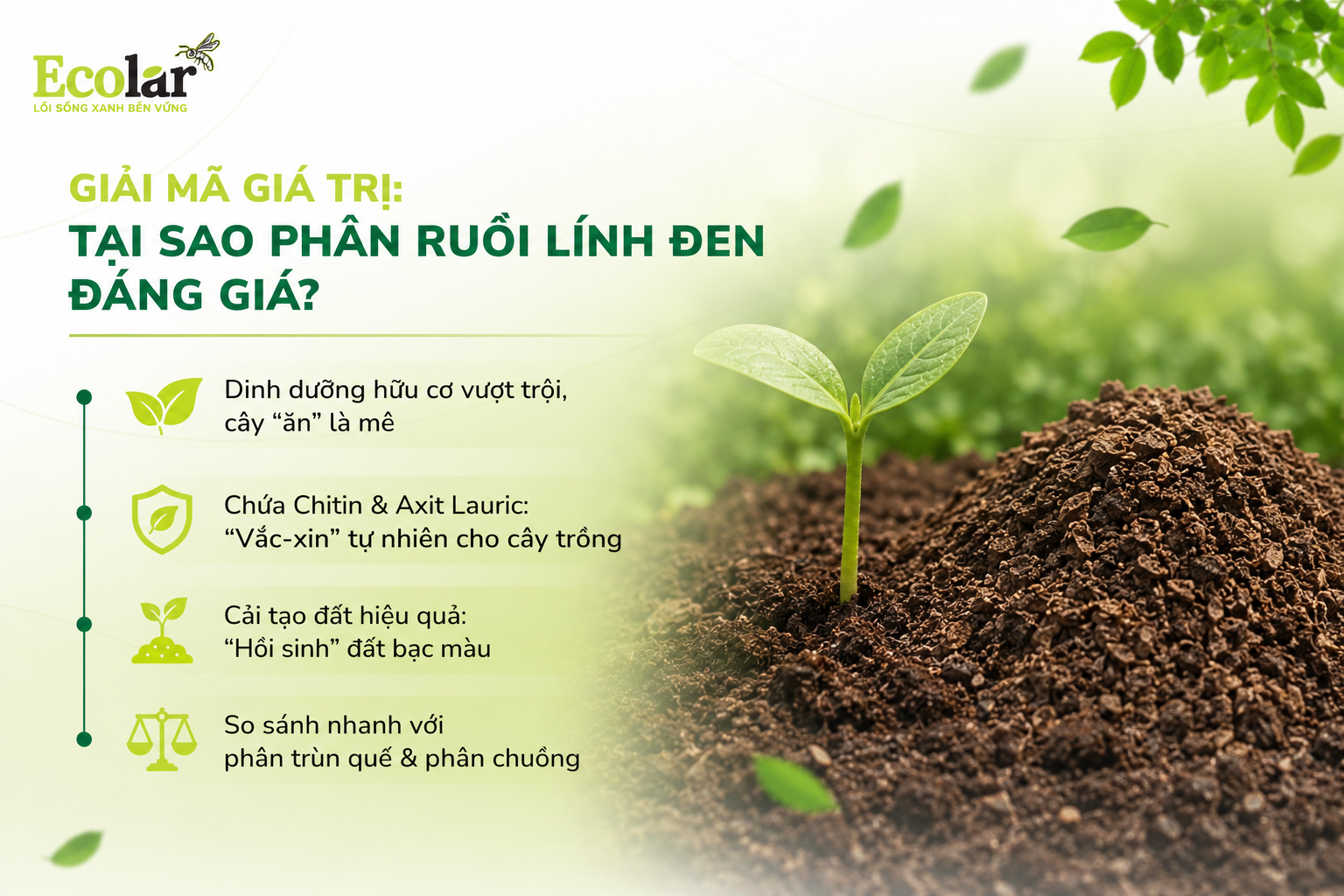 i-tai-sao-phan-ruoi-linh-den-dang-gia_bf82d760dedd4c1b950ce78b4784f740.png