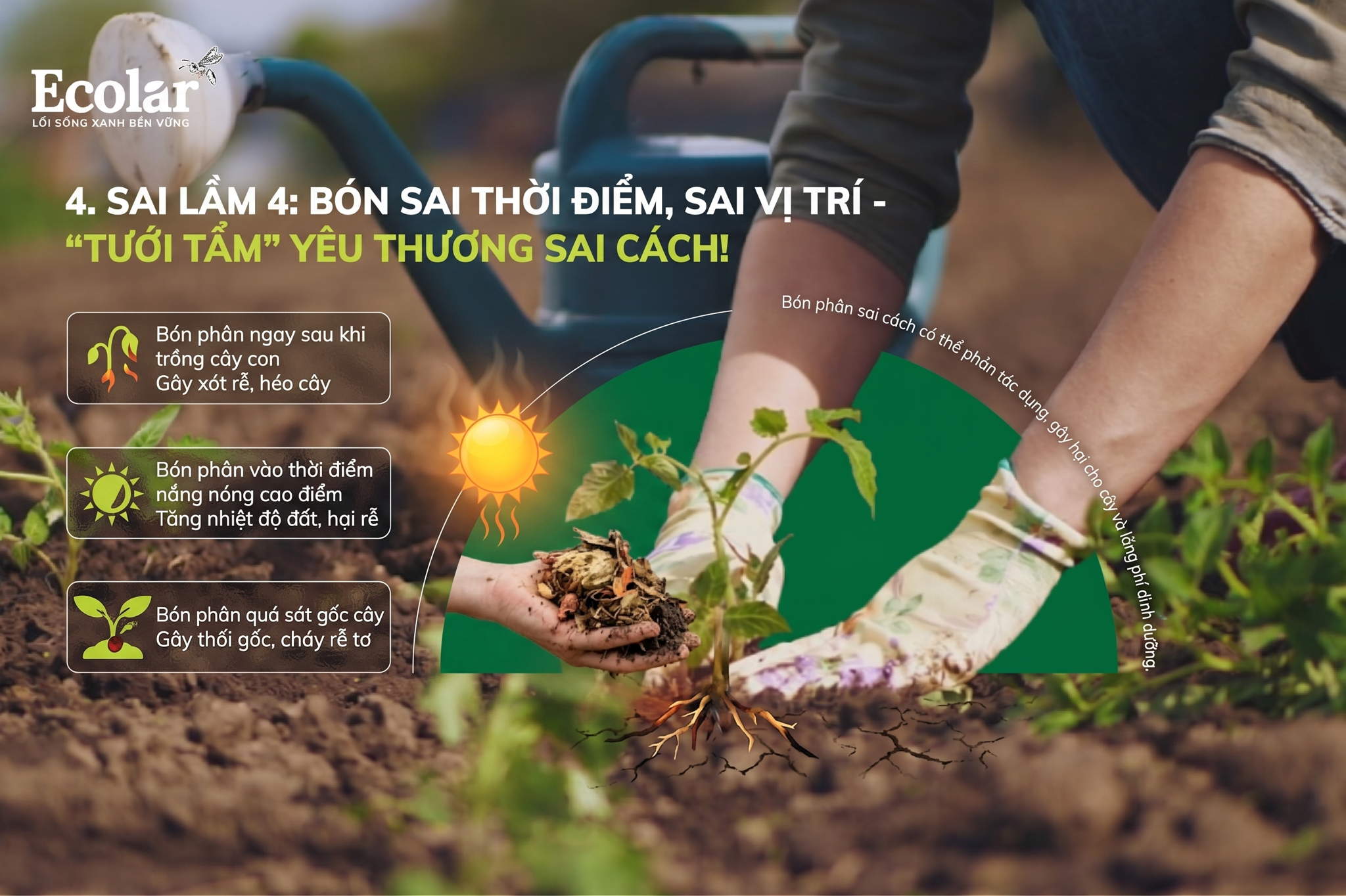 Sai Lầm 4: Bón Sai Thời Điểm, Sai Vị Trí -