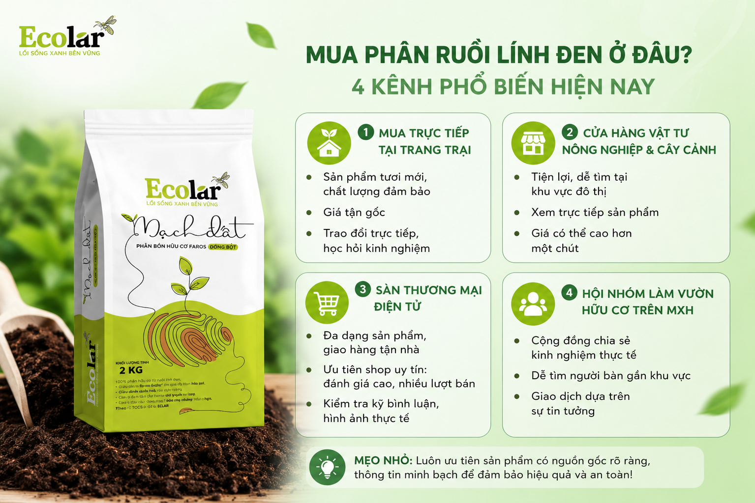 5 Tiêu Chí Vàng Để Nhận Diện Phân Ruồi Lính Đen Chất Lượng Cao