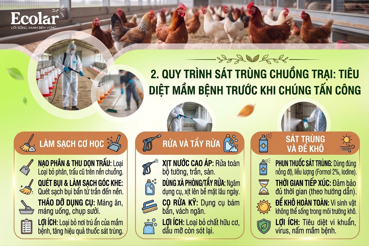 Tiêu Diệt Mầm Bệnh Trước Khi Chúng Tấn Công