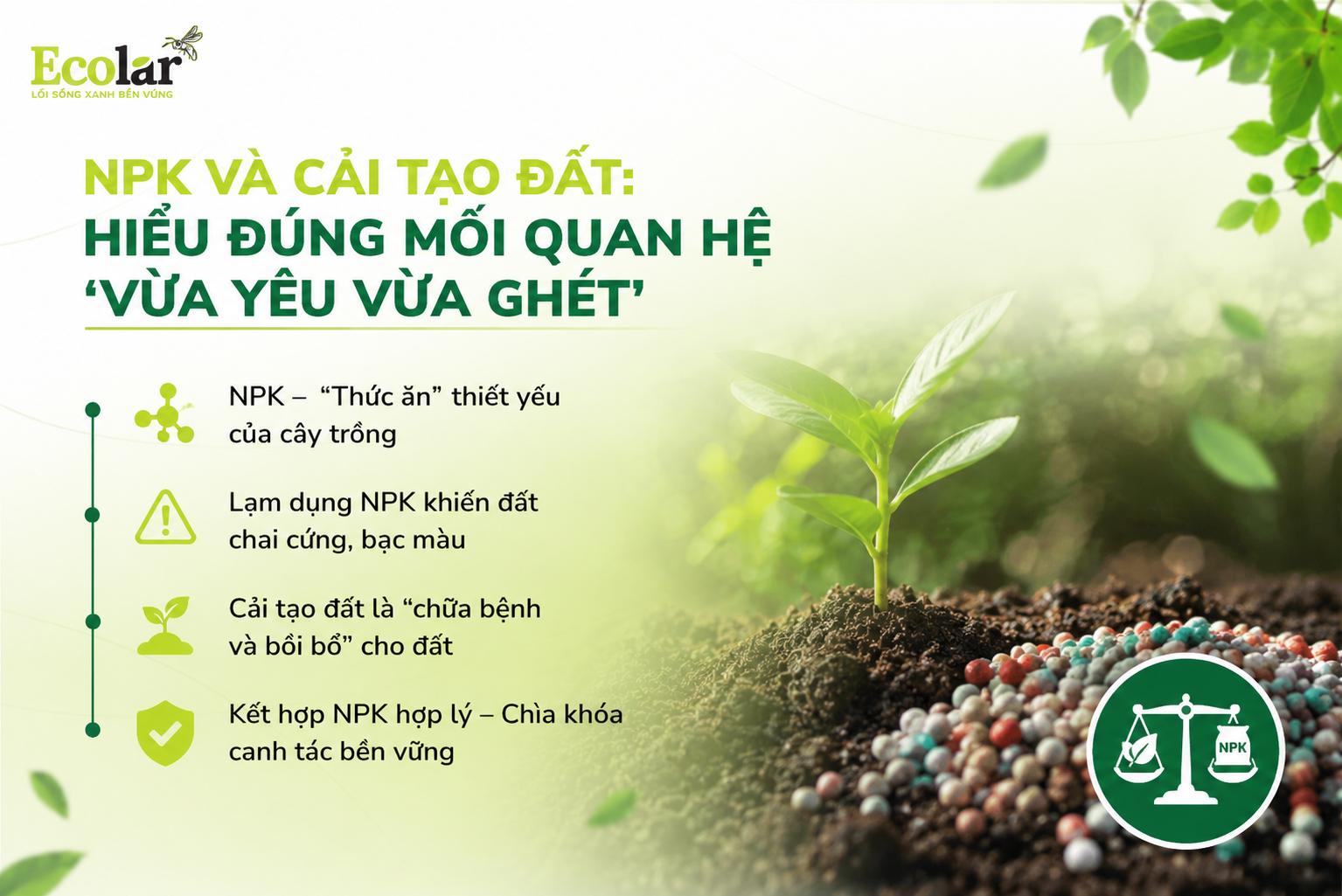 NPK và Cải Tạo Đất: Hiểu Đúng Mối Quan Hệ 'Vừa Yêu Vừa Ghét'