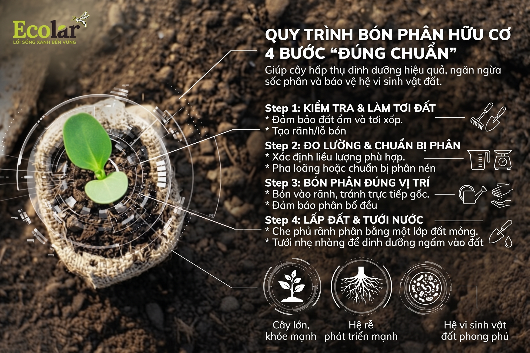 Hướng Dẫn Khắc Phục: Quy Trình Bón Phân Hữu Cơ 4 Bước 'Đúng Chuẩn'
