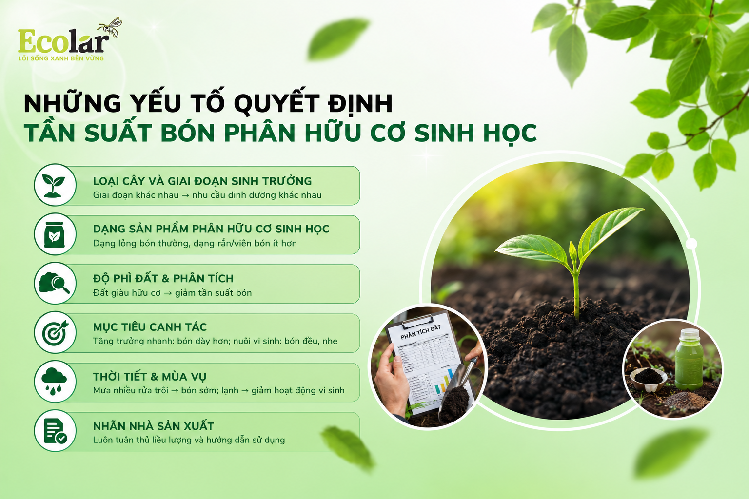 Những yếu tố quyết định tần suất bón phân hữu cơ sinh học