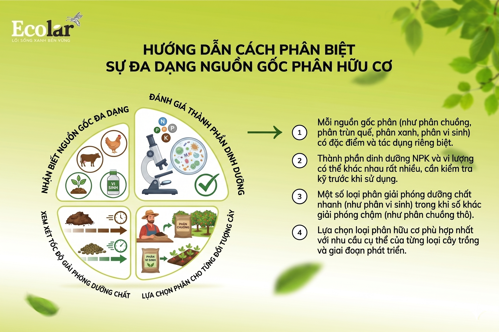 Sai lầm 4 — Giả định tất cả phân hữu cơ giống nhau (bỏ qua sự đa dạng nguồn gốc)
