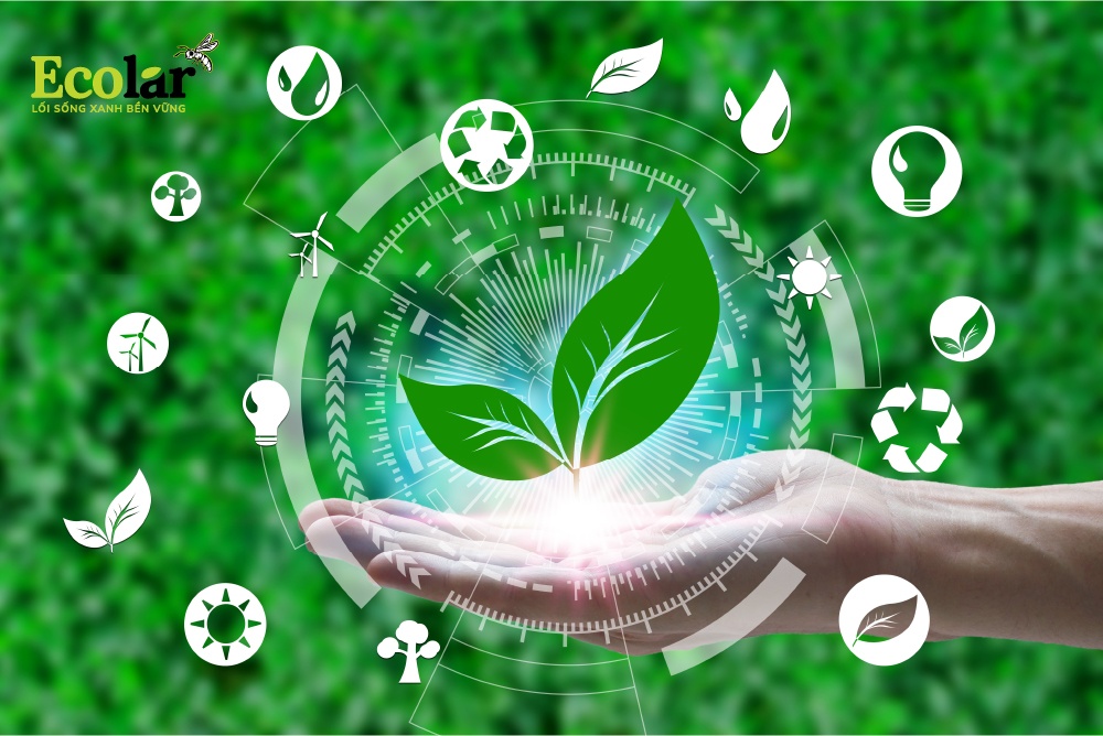 BSFLY-giai-phap-sinh-hoc-dot-pha-trong-xu-ly-rac-thai-huu-co