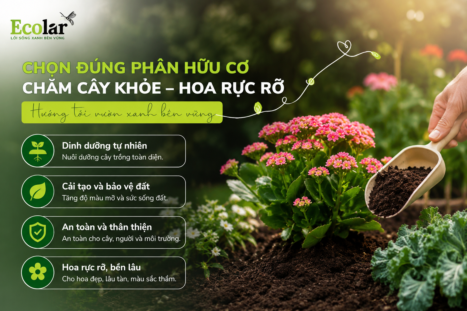 Kết luận