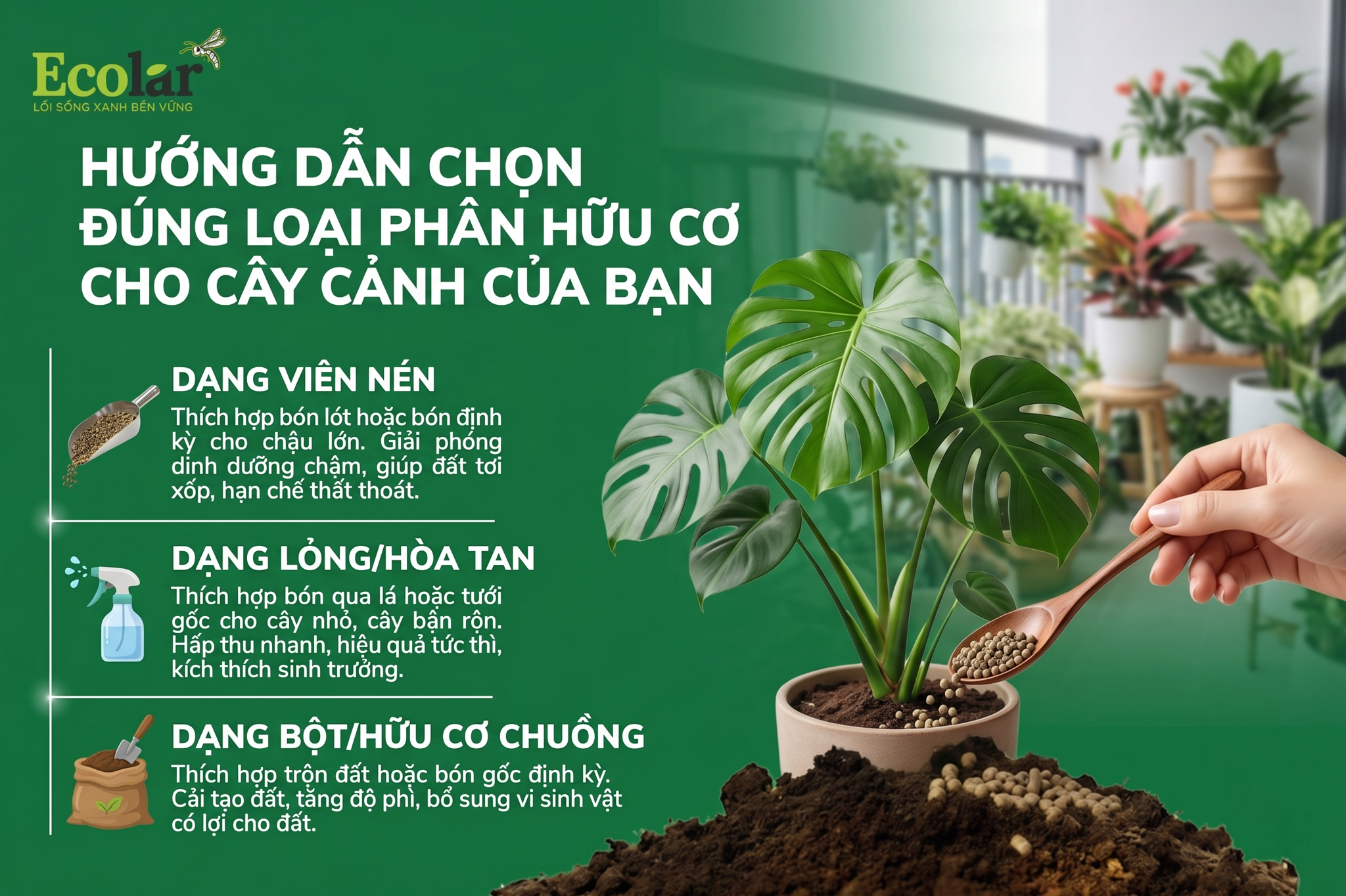 Hướng Dẫn Chọn Đúng Loại Phân Hữu Cơ Cho Cây Cảnh Của Bạn