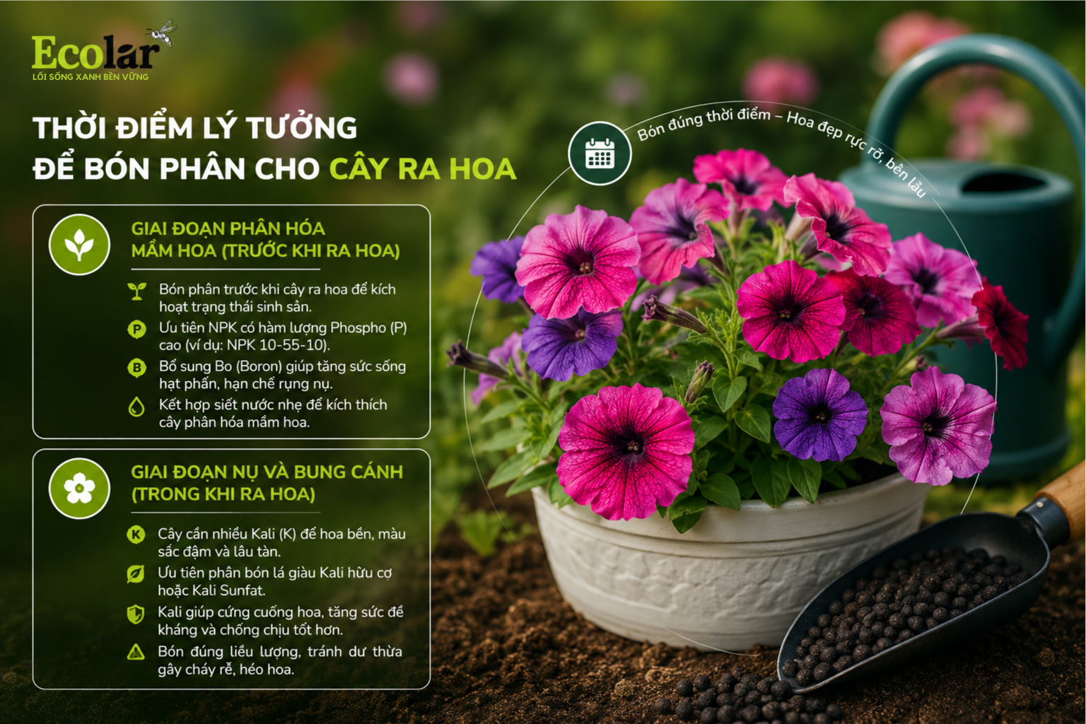 Thời điểm lý tưởng để bón phân cho cây ra hoa