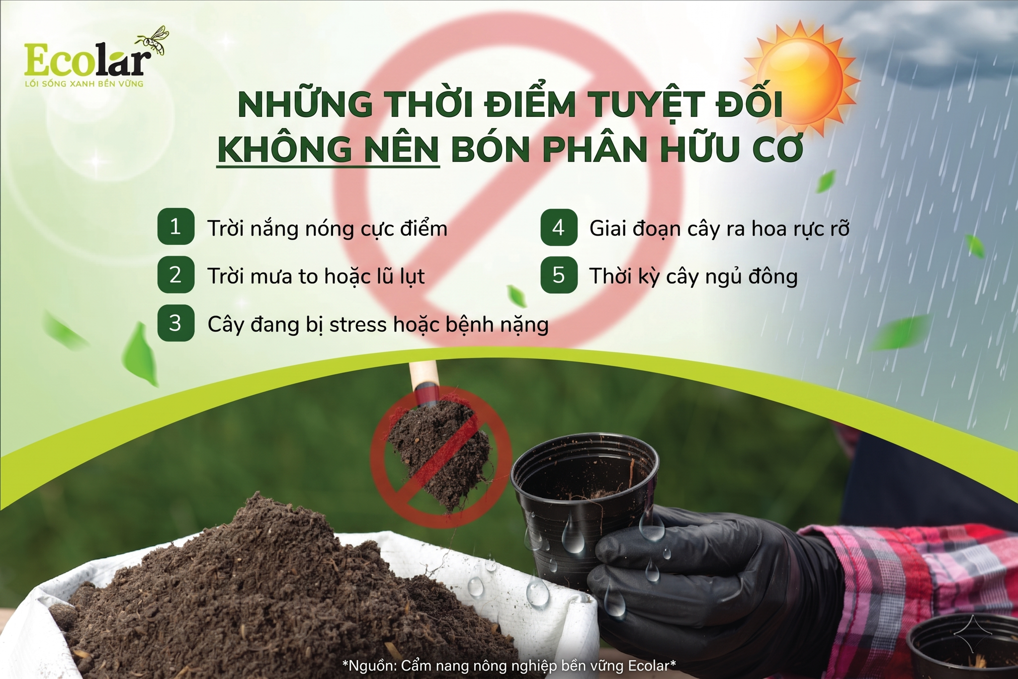 Những Thời Điểm Tuyệt Đối Không Nên Bón Phân Hữu Cơ