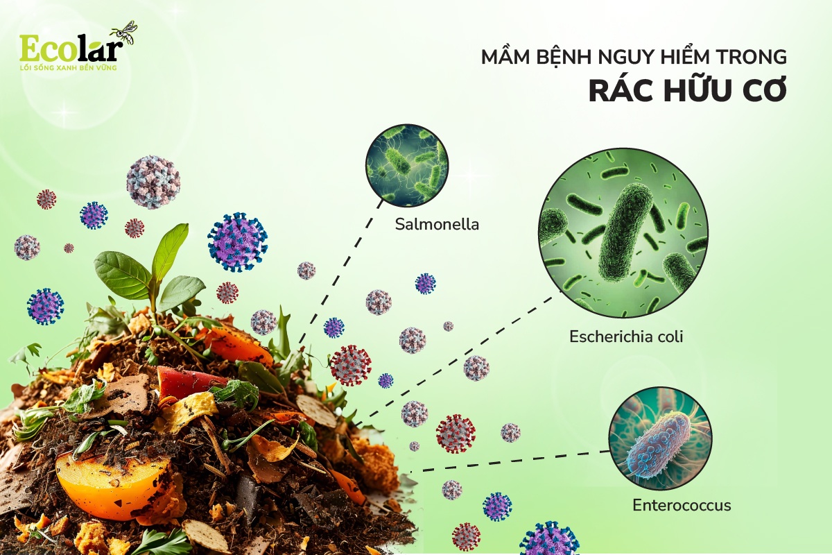 mam-benh-nguy-hiem-trong-rac-huu-co