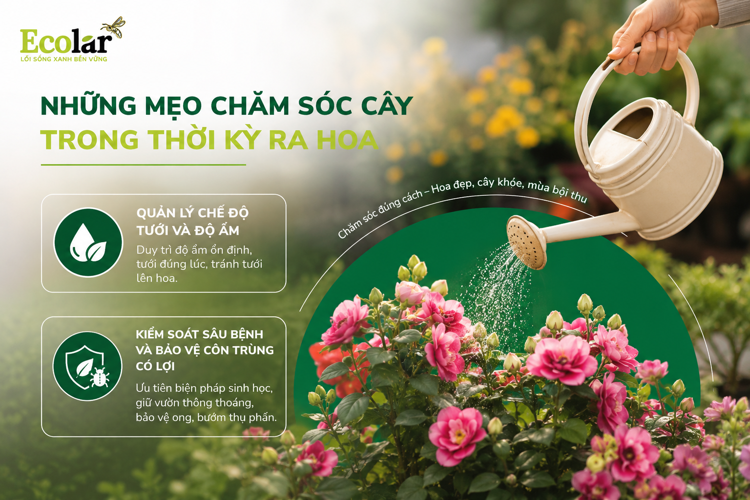 Những mẹo chăm sóc cây trong thời kỳ ra hoa