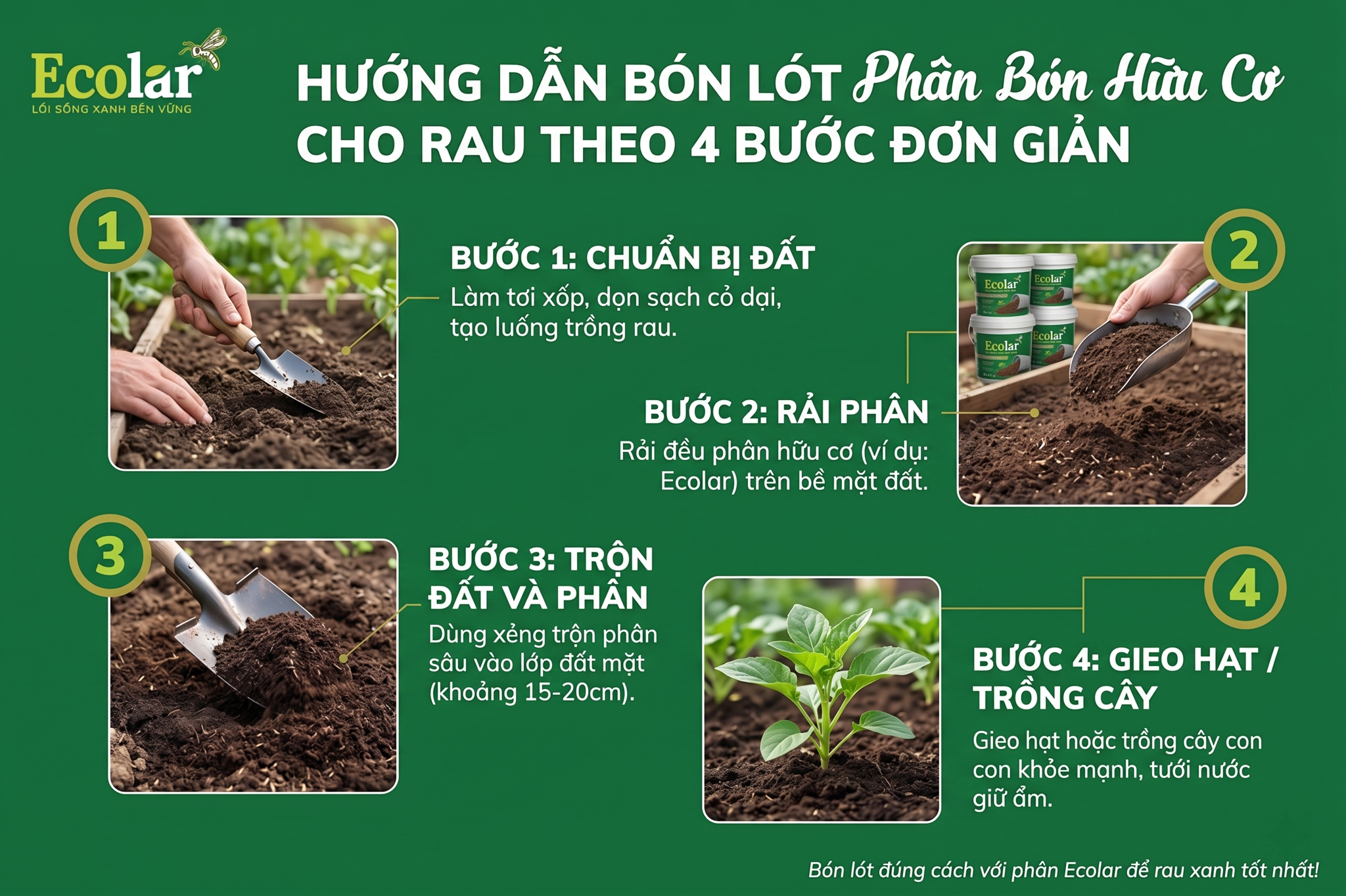 Hướng Dẫn Bón Lót Phân Hữu Cơ Cho Rau Theo 4 Bước Đơn Giản