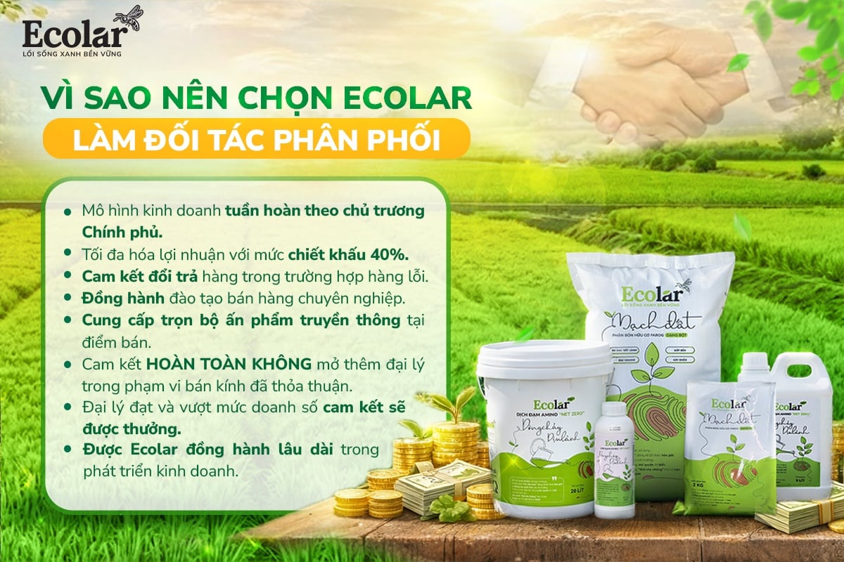 ecolar