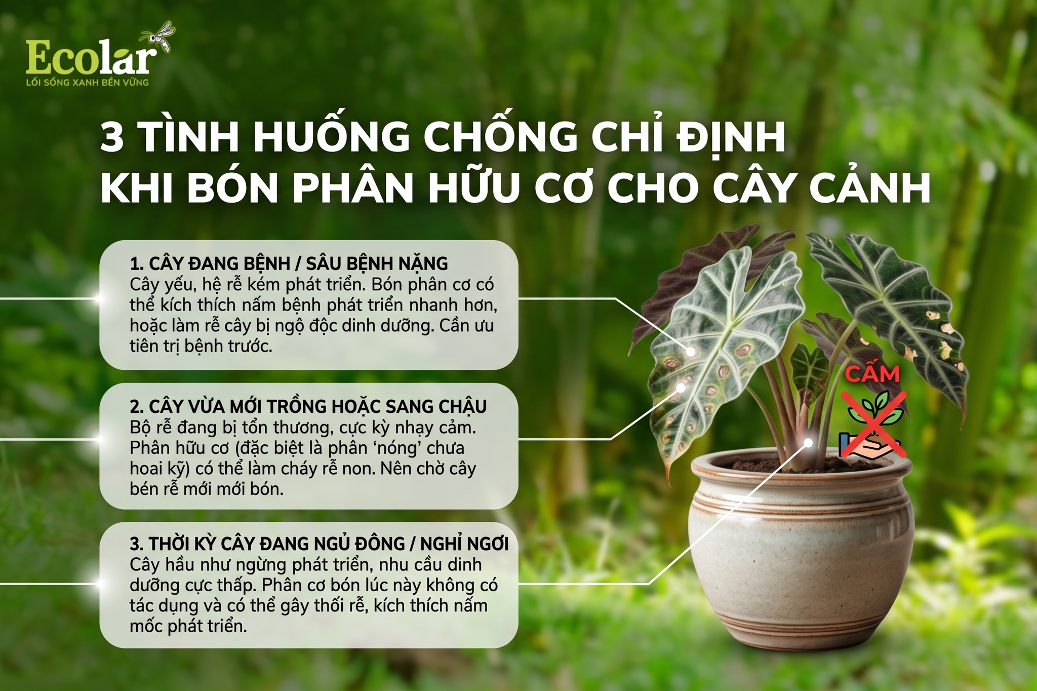 3 tình huống
