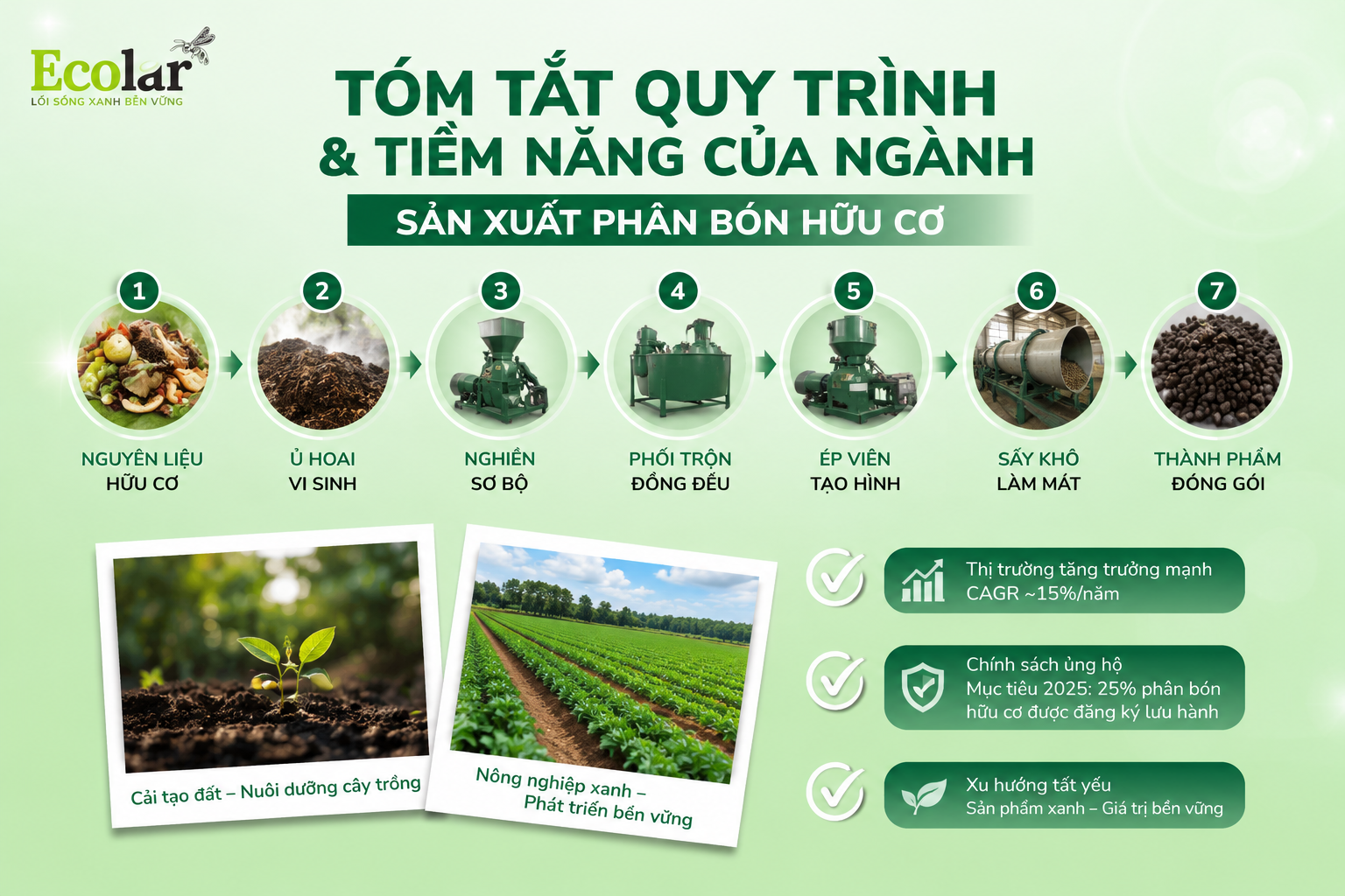 Tóm Tắt Quy Trình & Tiềm Năng Của Ngành Sản Xuất Phân Bón Hữu Cơ