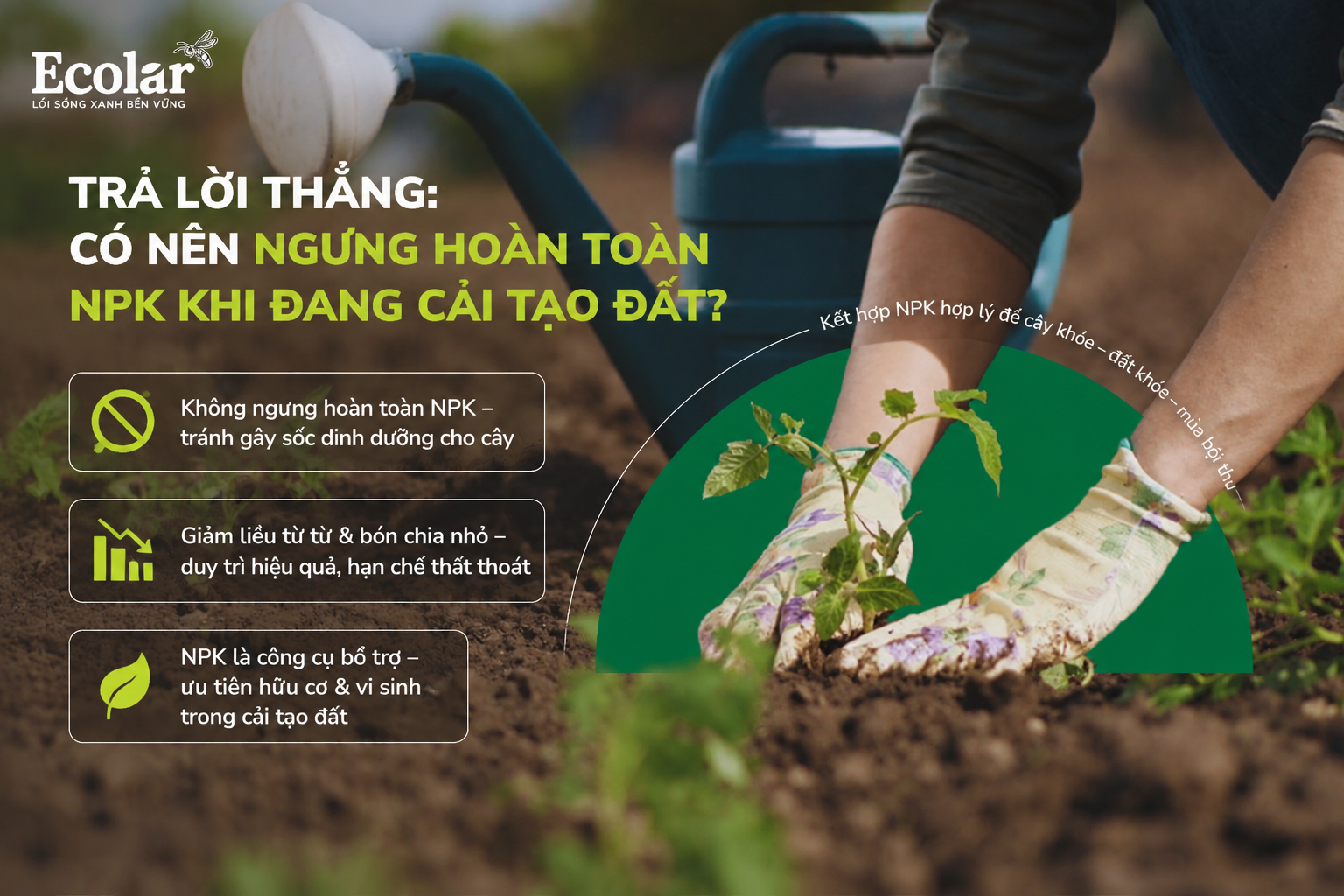Trả Lời Thẳng: Có Nên Ngưng Hoàn Toàn NPK Khi Đang Cải Tạo Đất?