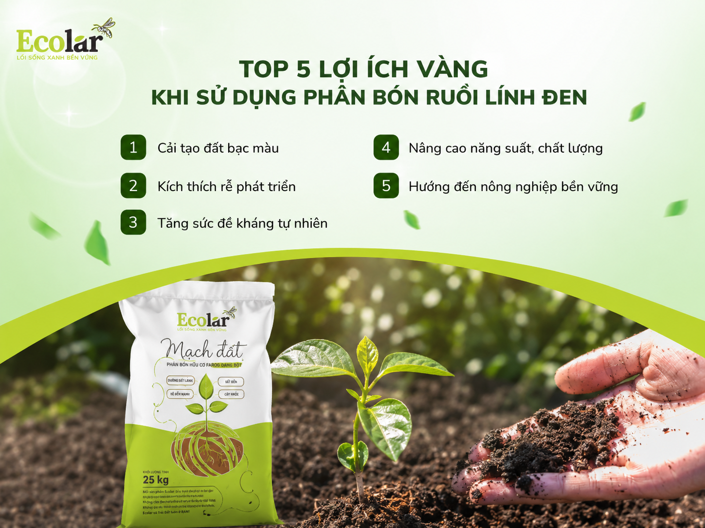 Top 5 Lợi Ích Vàng Khi Sử Dụng Phân Bón Ruồi Lính Đen