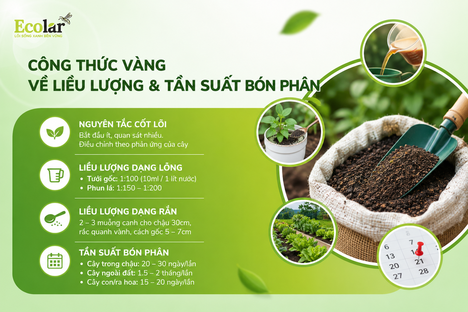 Bước 3: Công Thức Vàng Về Liều Lượng & Tần Suất Bón Phân