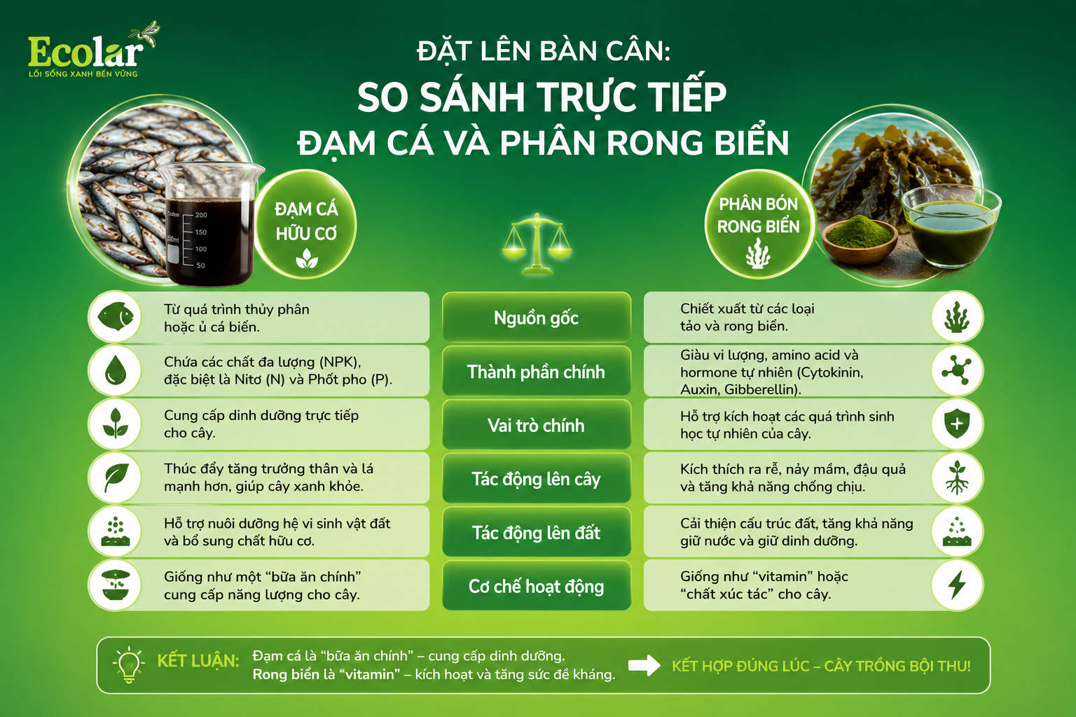 Đặt Lên Bàn Cân: So Sánh Trực Tiếp Đạm Cá và Phân Rong Biển