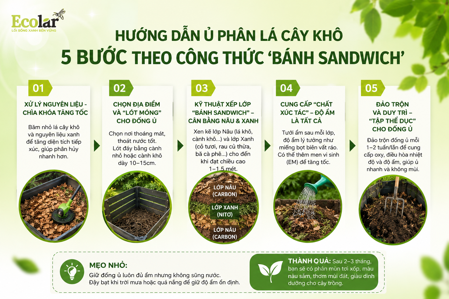 Hướng Dẫn Ủ Phân Lá Cây Khô 5 Bước Theo Công Thức 'Bánh Sandwich'
