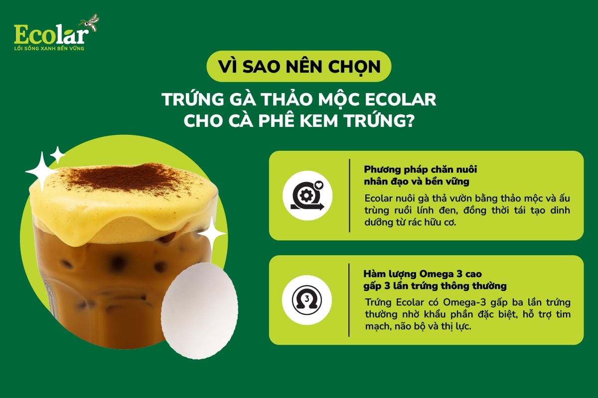 Kem trứng thơm béo chuẩn vị bắt đầu từ trứng thảo mộc Ecolar sạch và giàu Omega 3